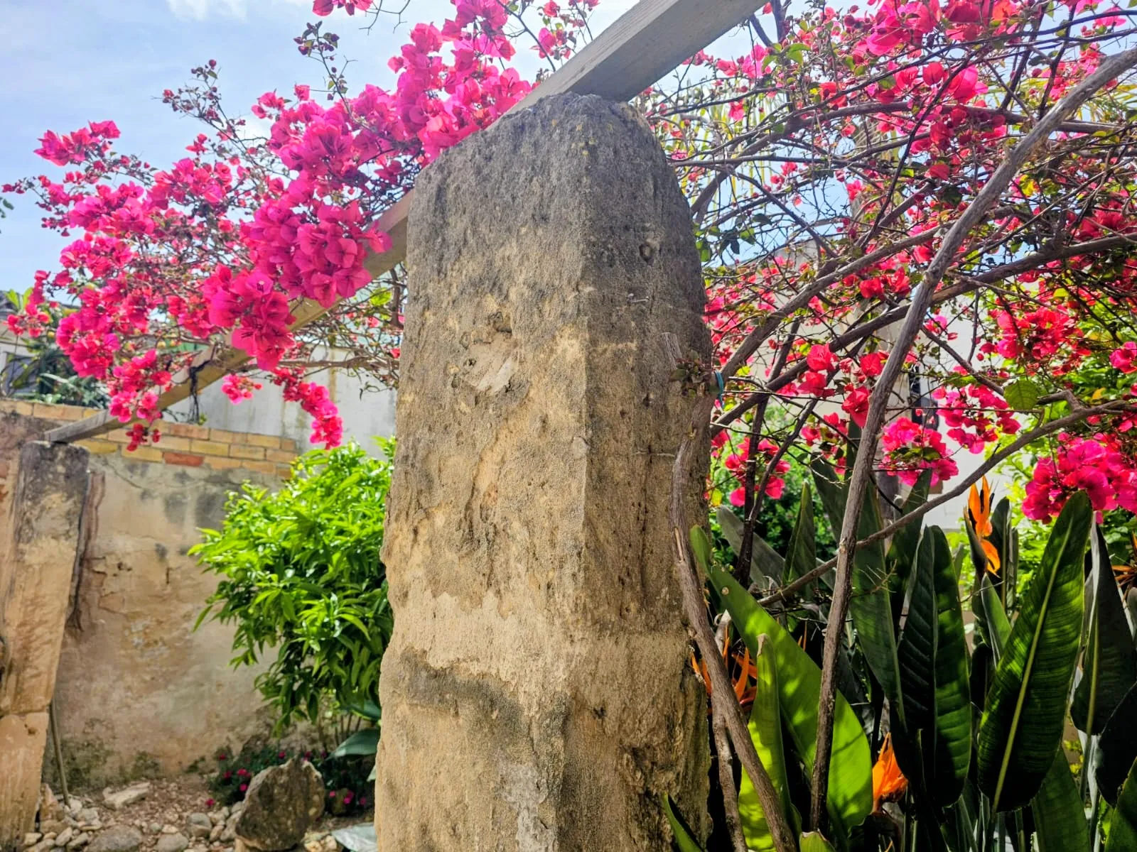 Duża kamienica z ogrodem i kuchnią na świeżym powietrzu w Consell-14