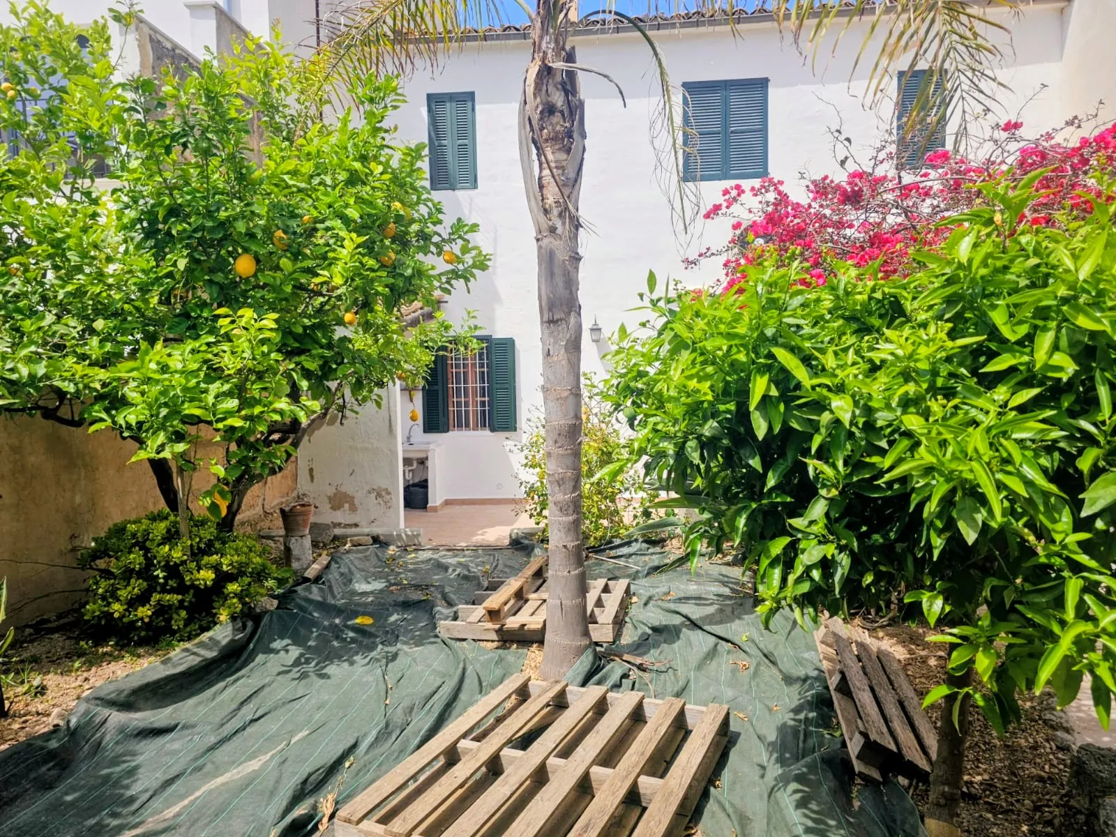 Duża kamienica z ogrodem i kuchnią na świeżym powietrzu w Consell-17