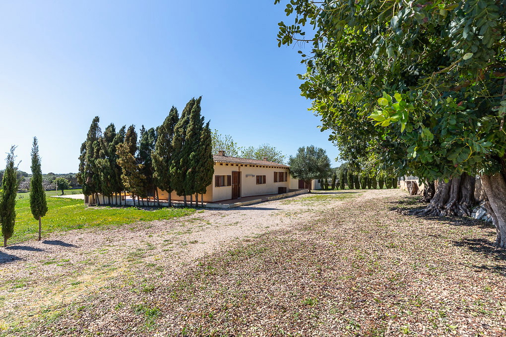 Finca with rental licence and sea views-11
