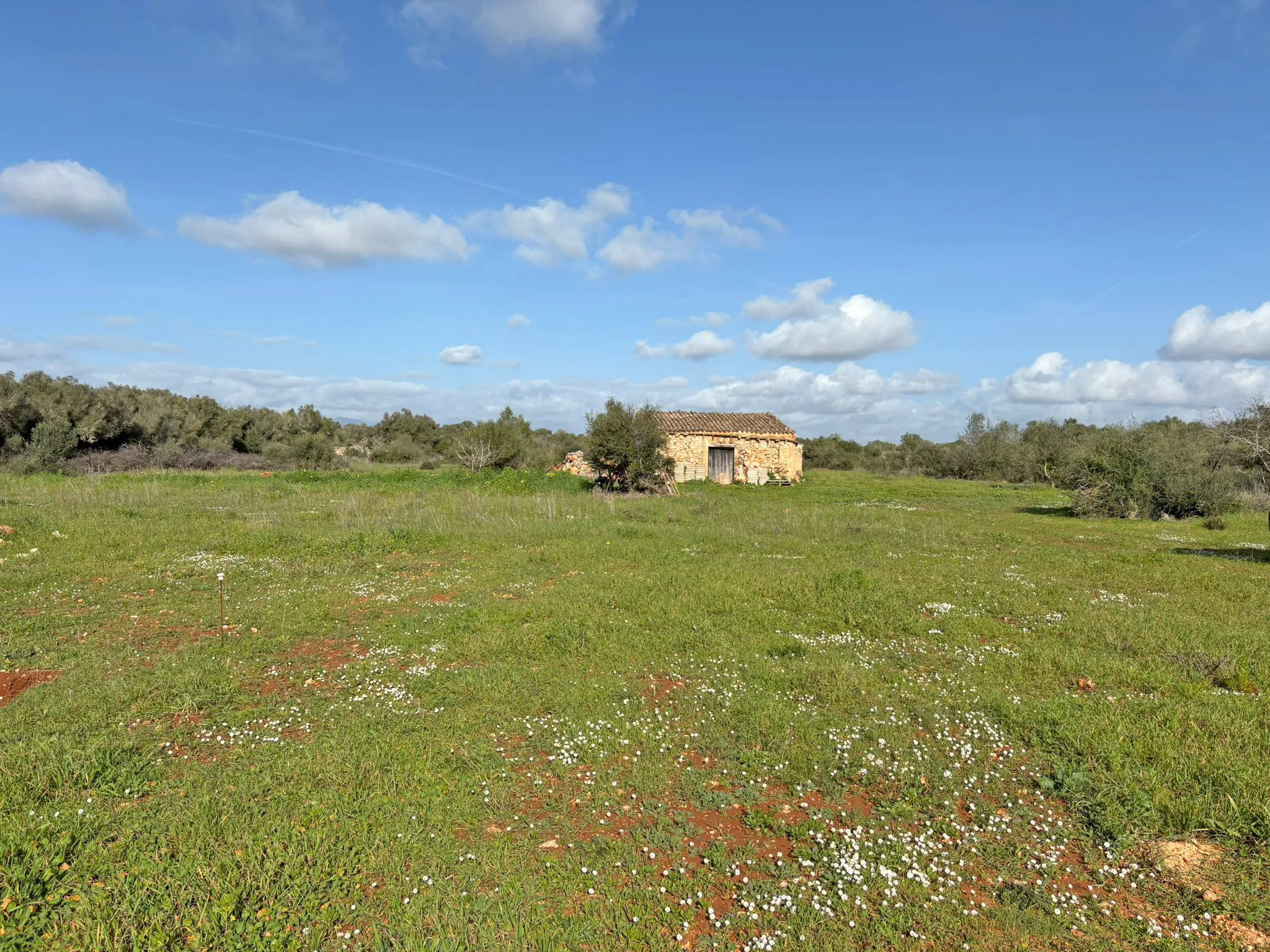 Casa de campo de obra nueva con hermosas vistas en Algaida-5