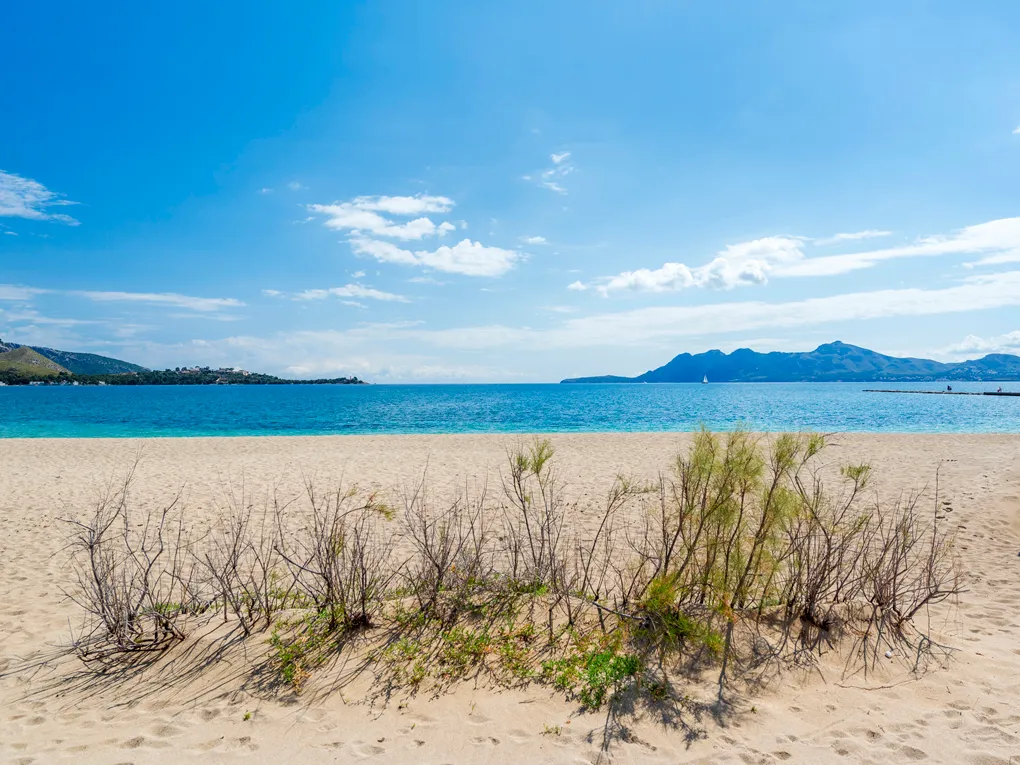 Mediterranean style ground floor apartment in Puerto Pollensa-13