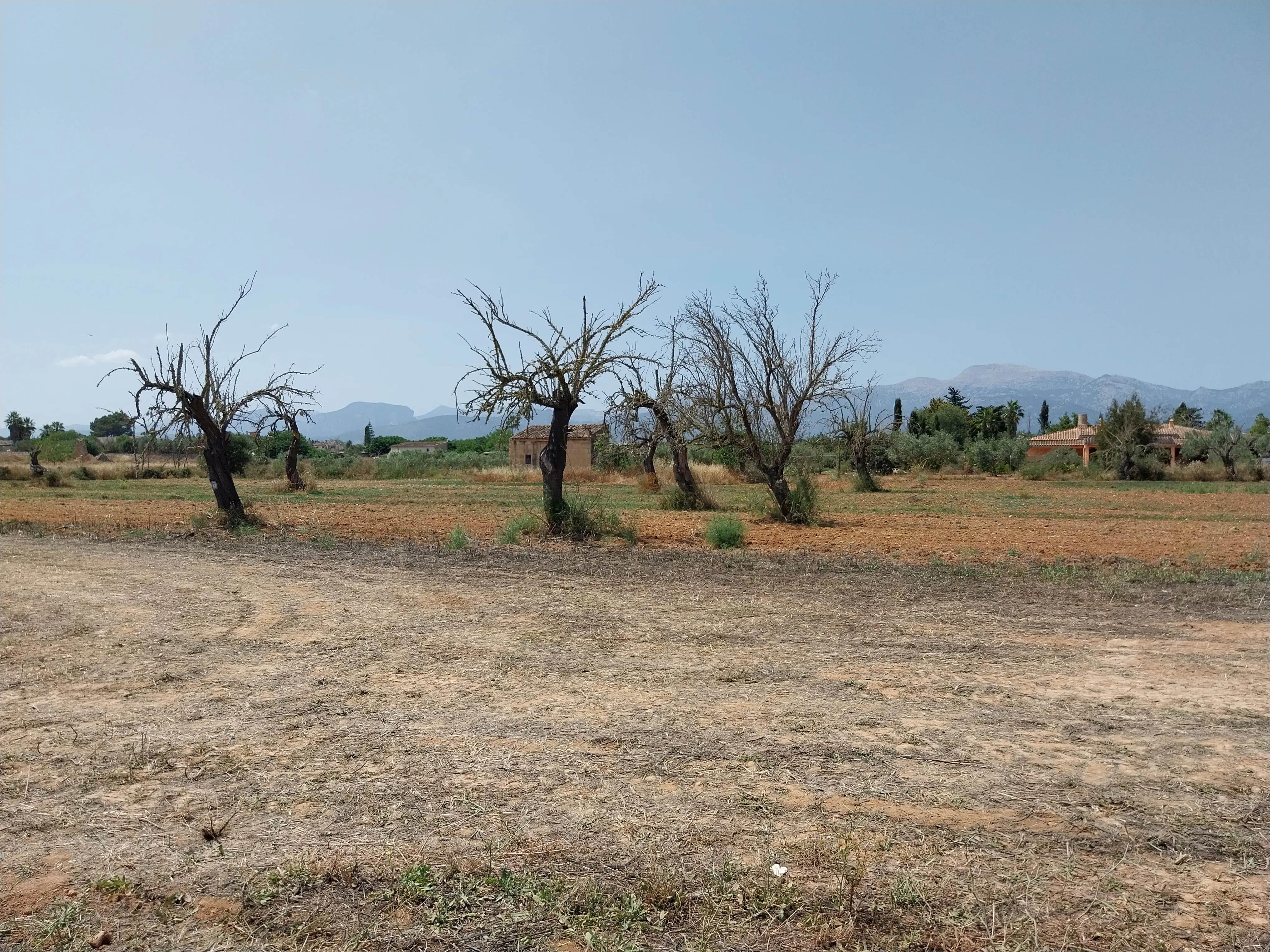 Przestronna nowo wybudowana finca z widokiem na Tramuntana w Inca-9