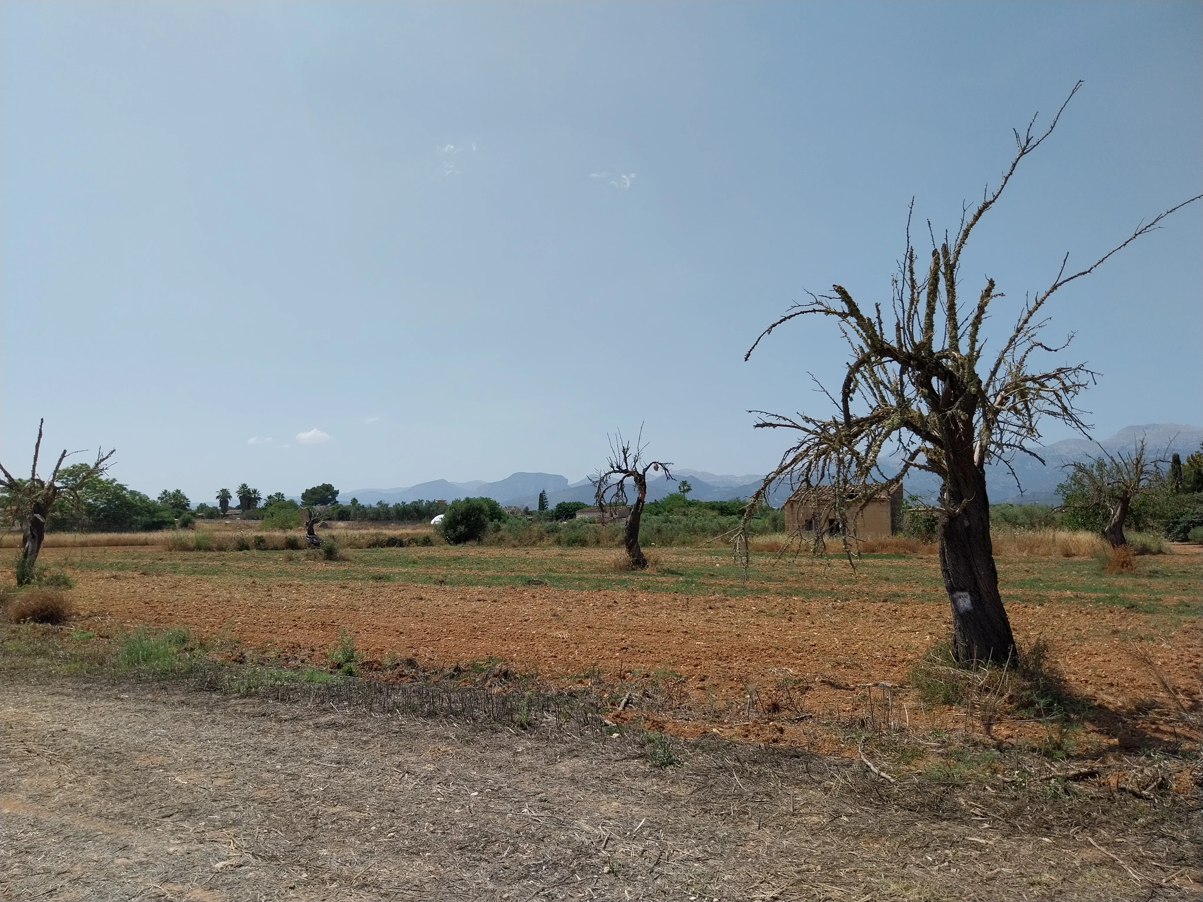 Przestronna nowo wybudowana finca z widokiem na Tramuntana w Inca-8