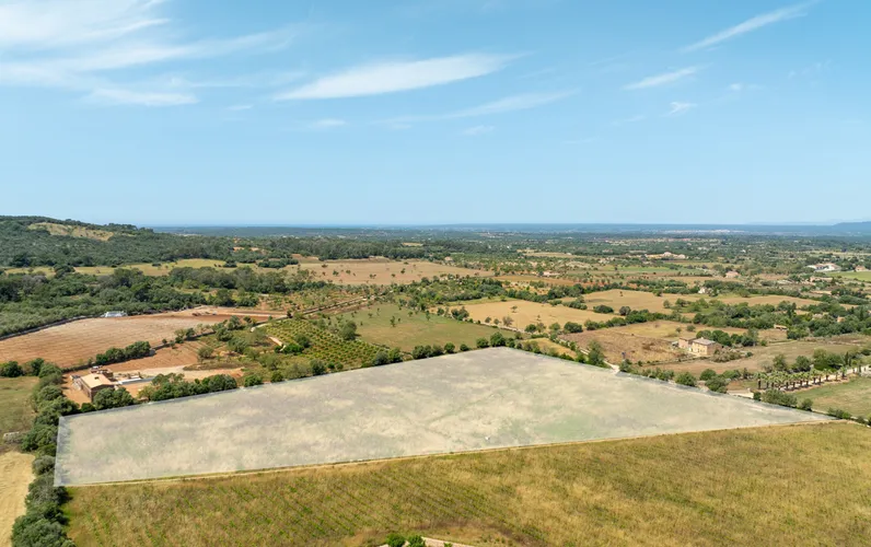 Działka budowlana z projektem finca w pobliżu Cas Concos