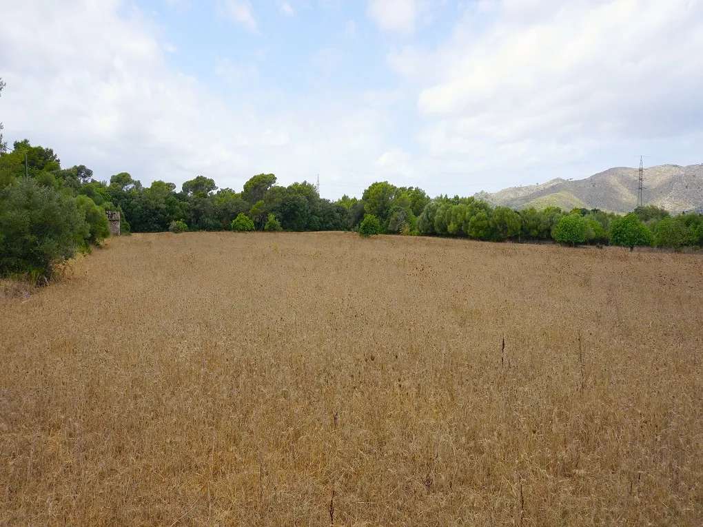 Ruime bouwkavel op een rustige locatie tussen Artá en Capdepera-2