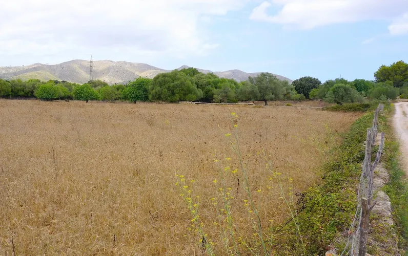 Ruime bouwkavel op een rustige locatie tussen Artá en Capdepera
