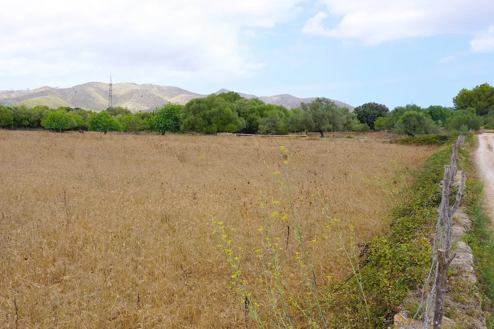 Amplia parcela edificable en zona tranquila entre Artá y Capdepera-1