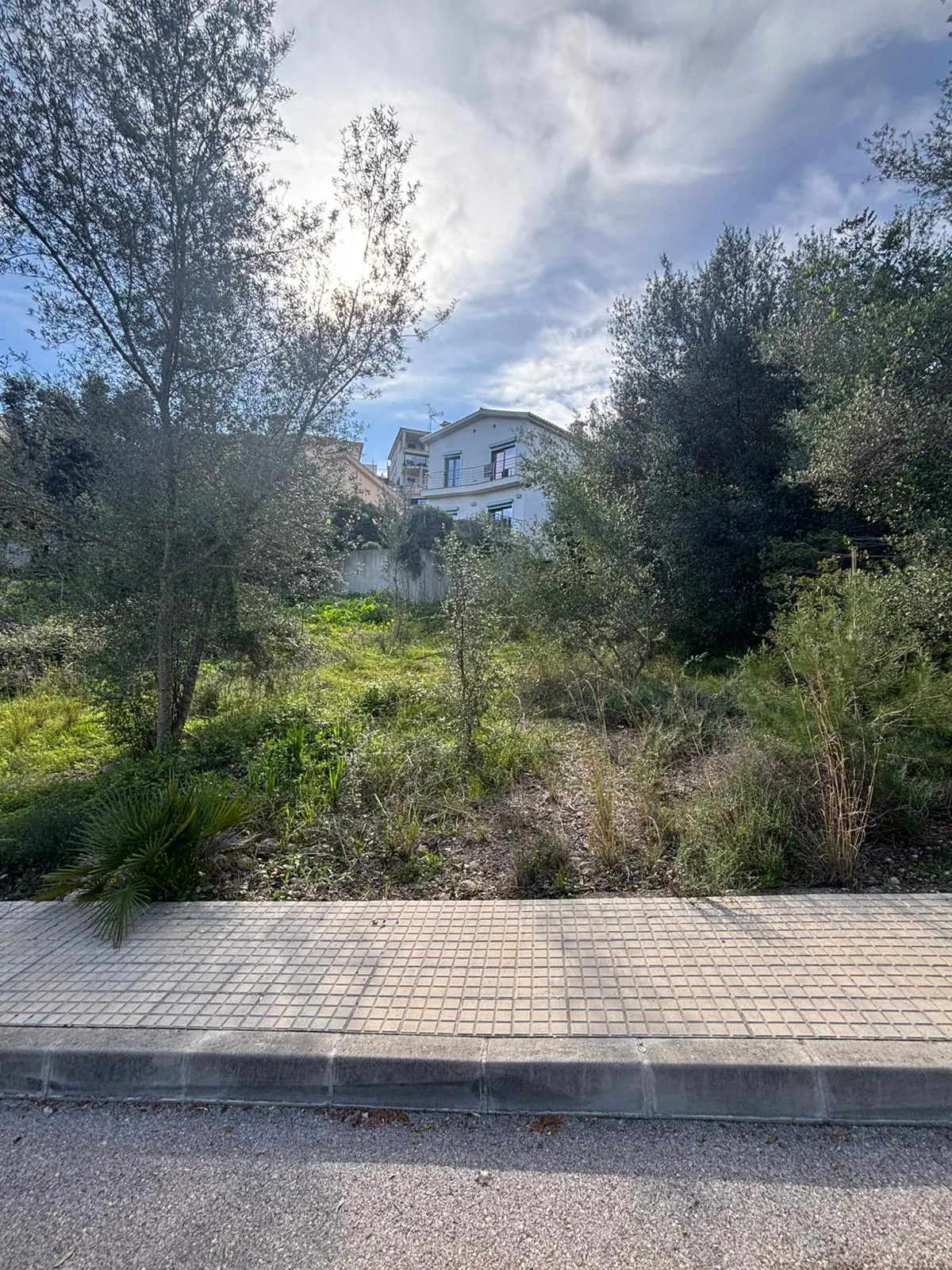 Urban plot close to town centre of Campanet-3