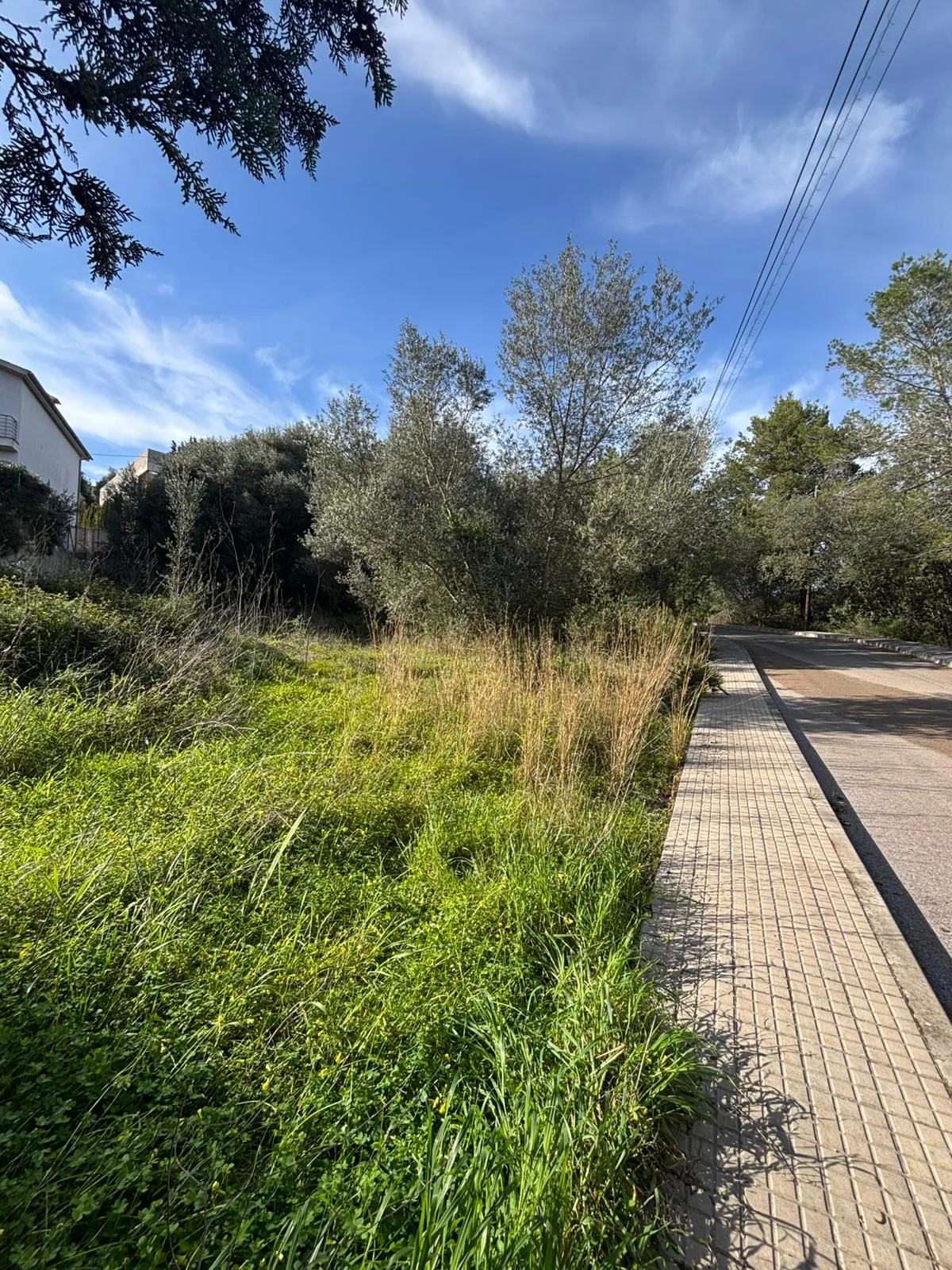 Urban plot close to town centre of Campanet-5