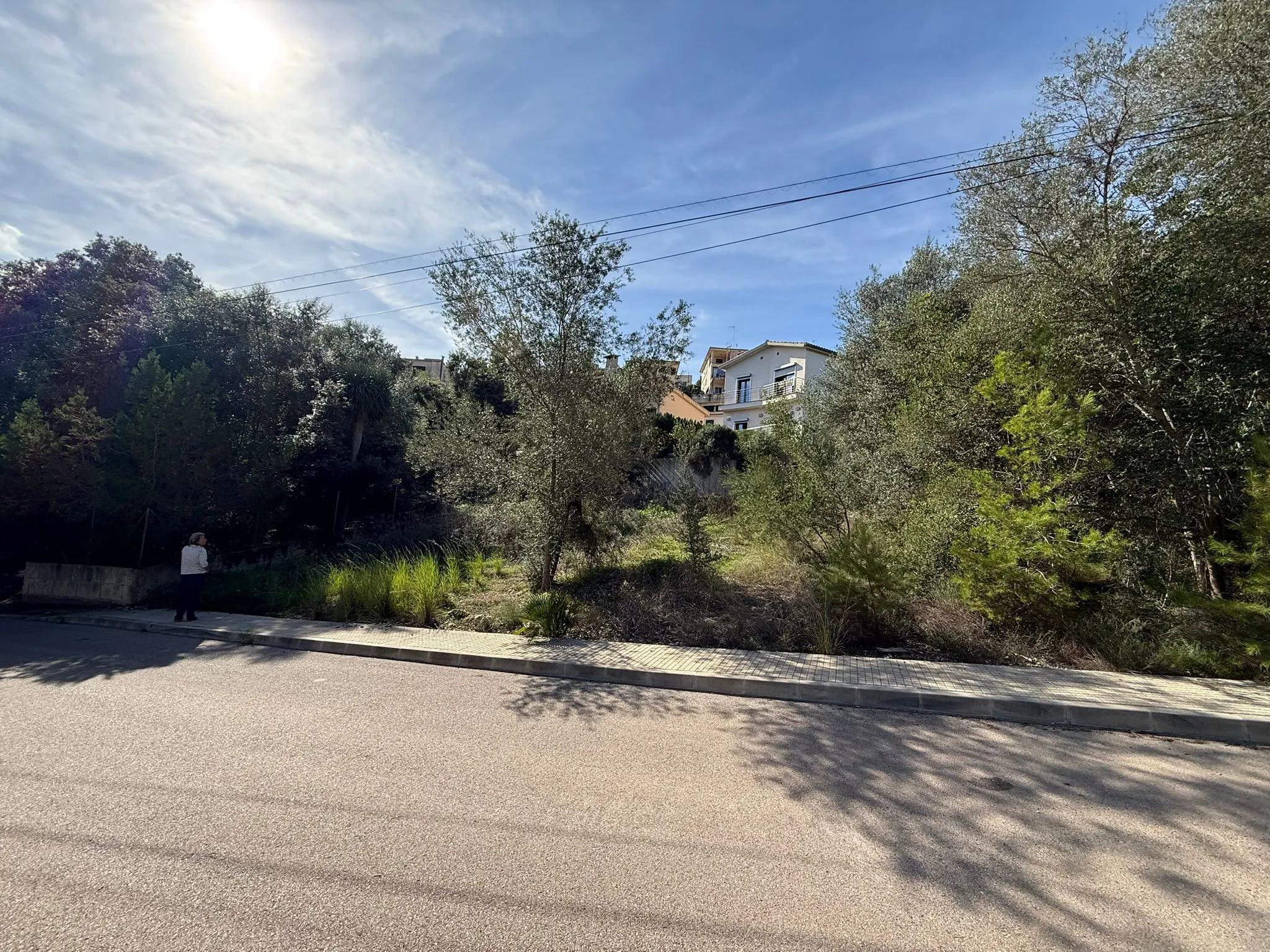 Urban plot close to town centre of Campanet-1