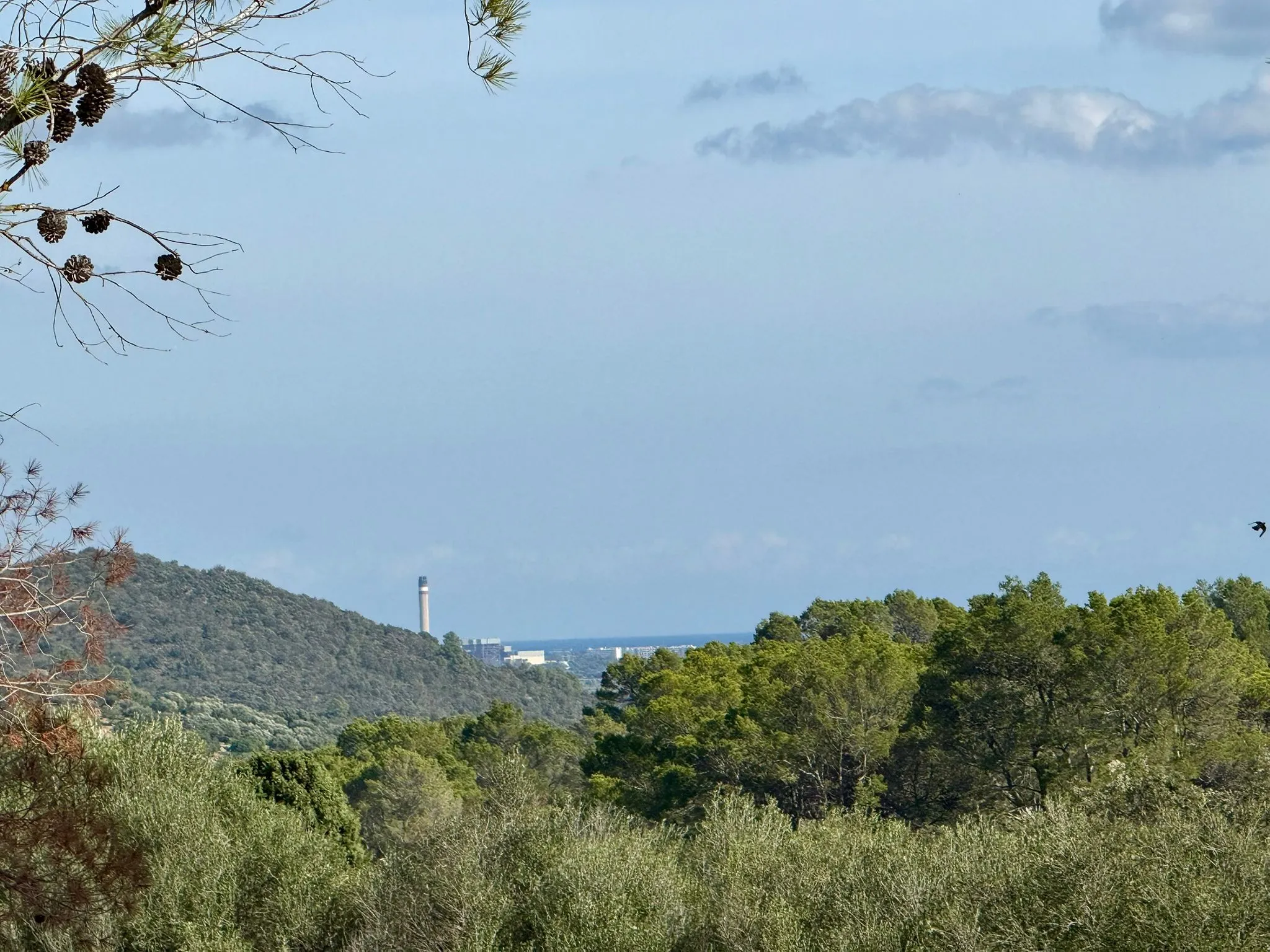 Urban plot close to town centre of Campanet-2