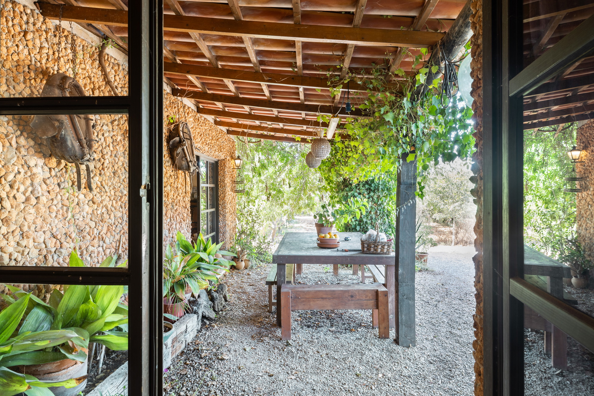 Rustic finca to reform near Santa Maria-4