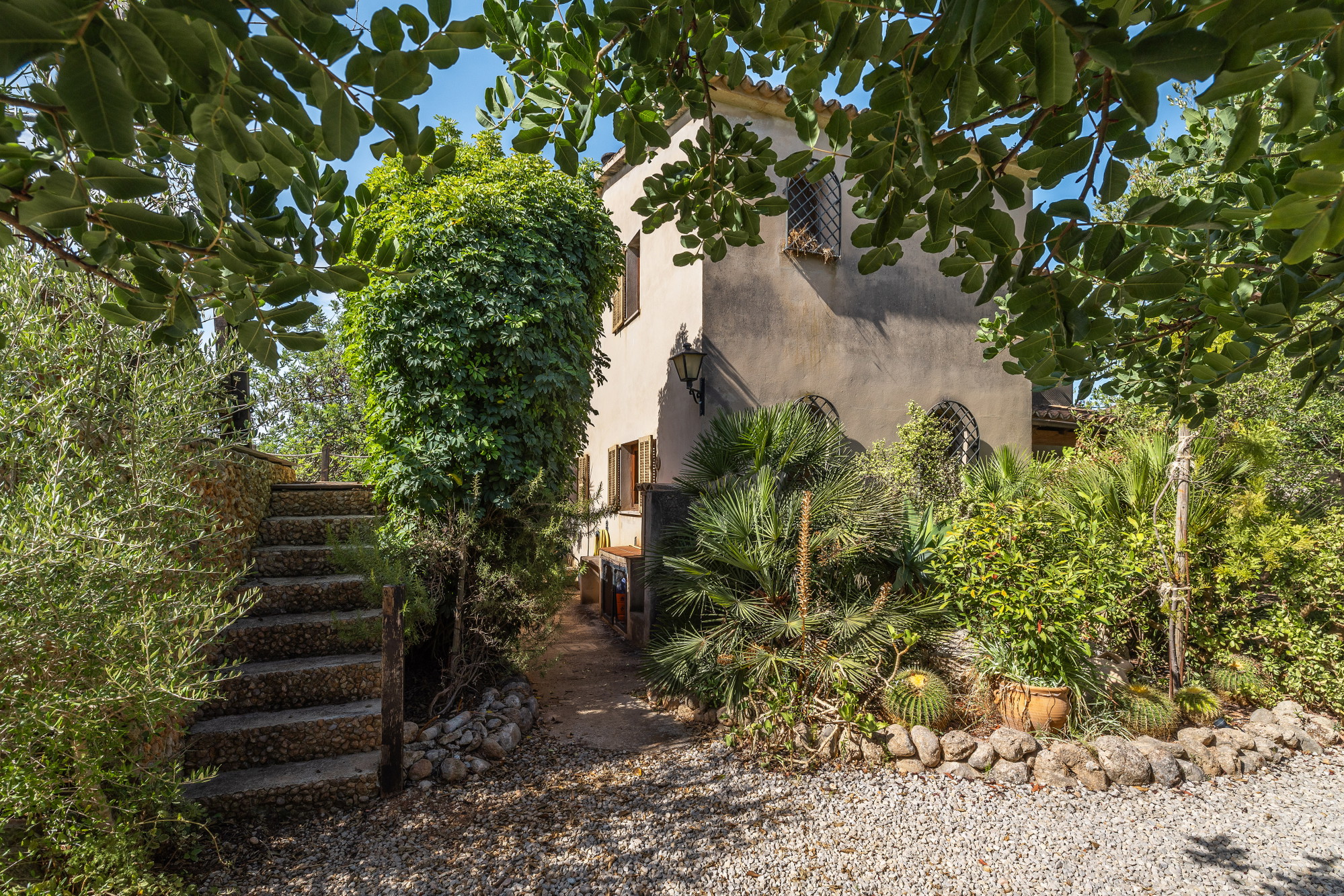 Rustic finca to reform near Santa Maria-18