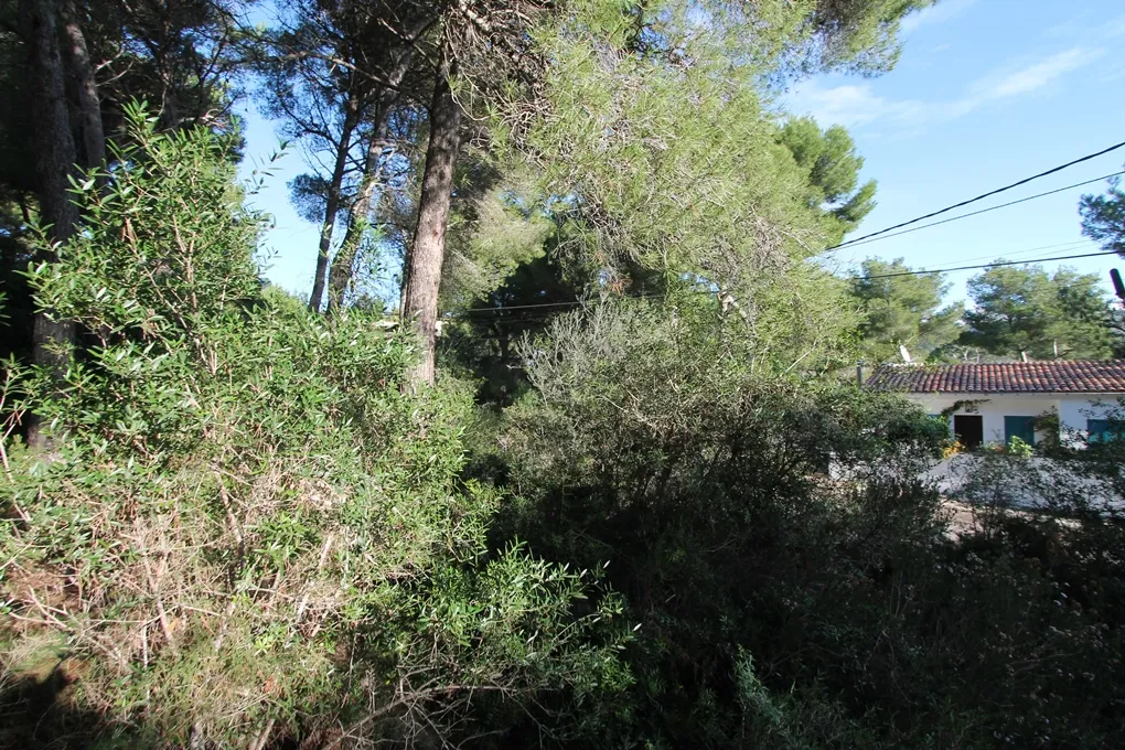 Parcela en Costa de Canyamel-6