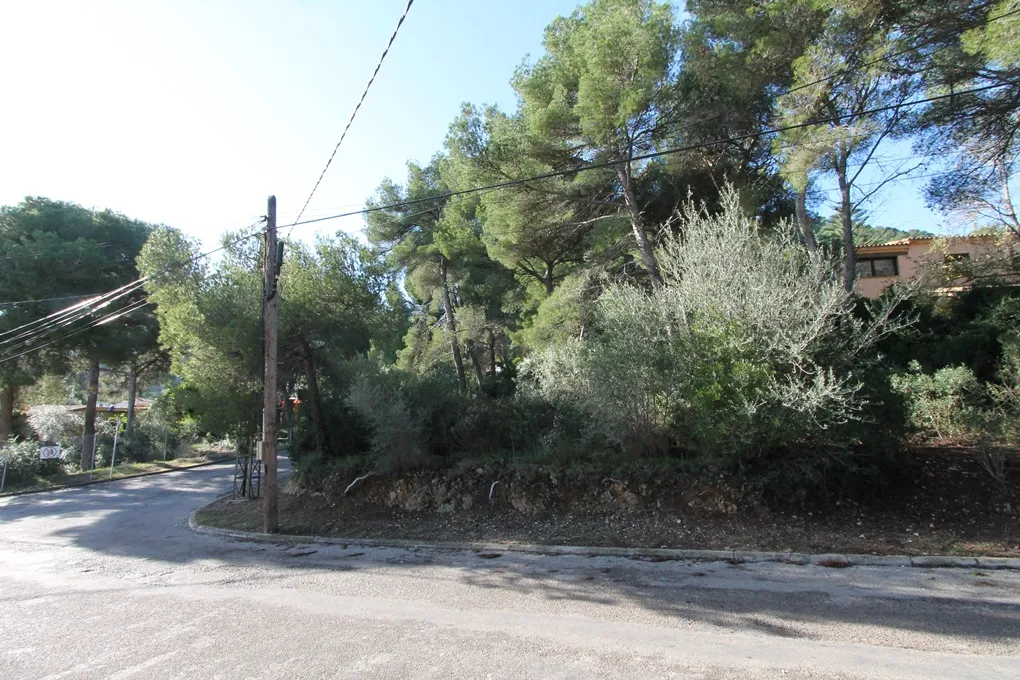 Parcela en Costa de Canyamel-1