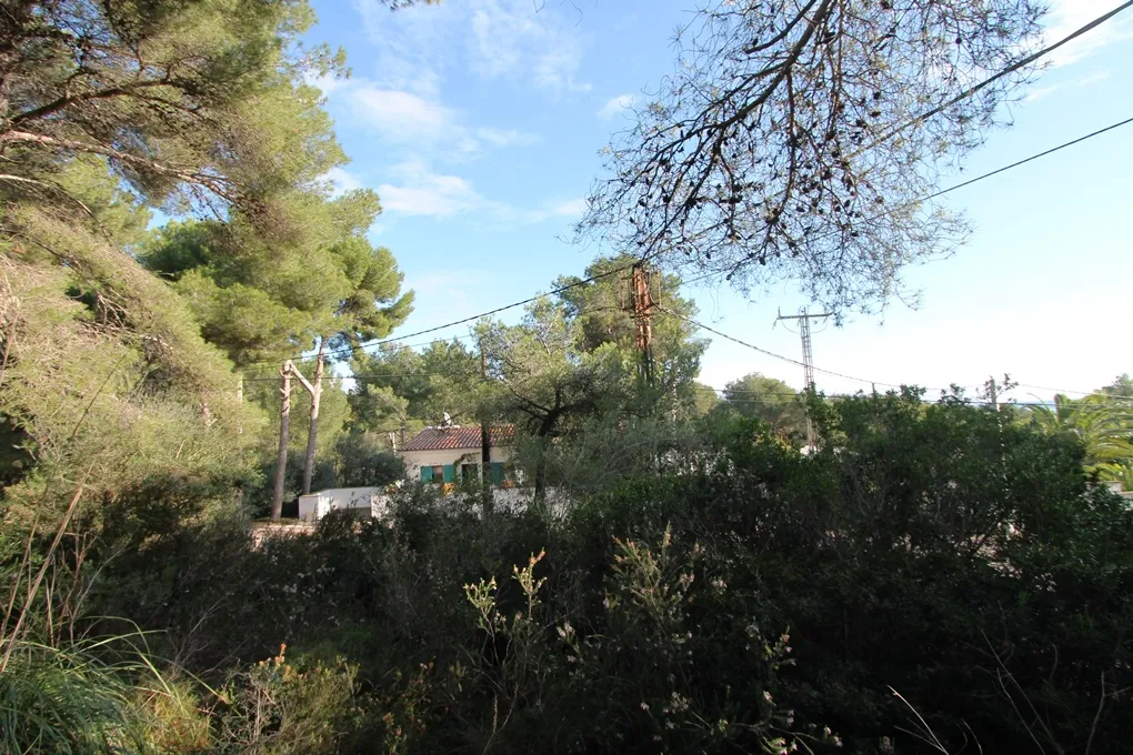 Parcela en Costa de Canyamel-5