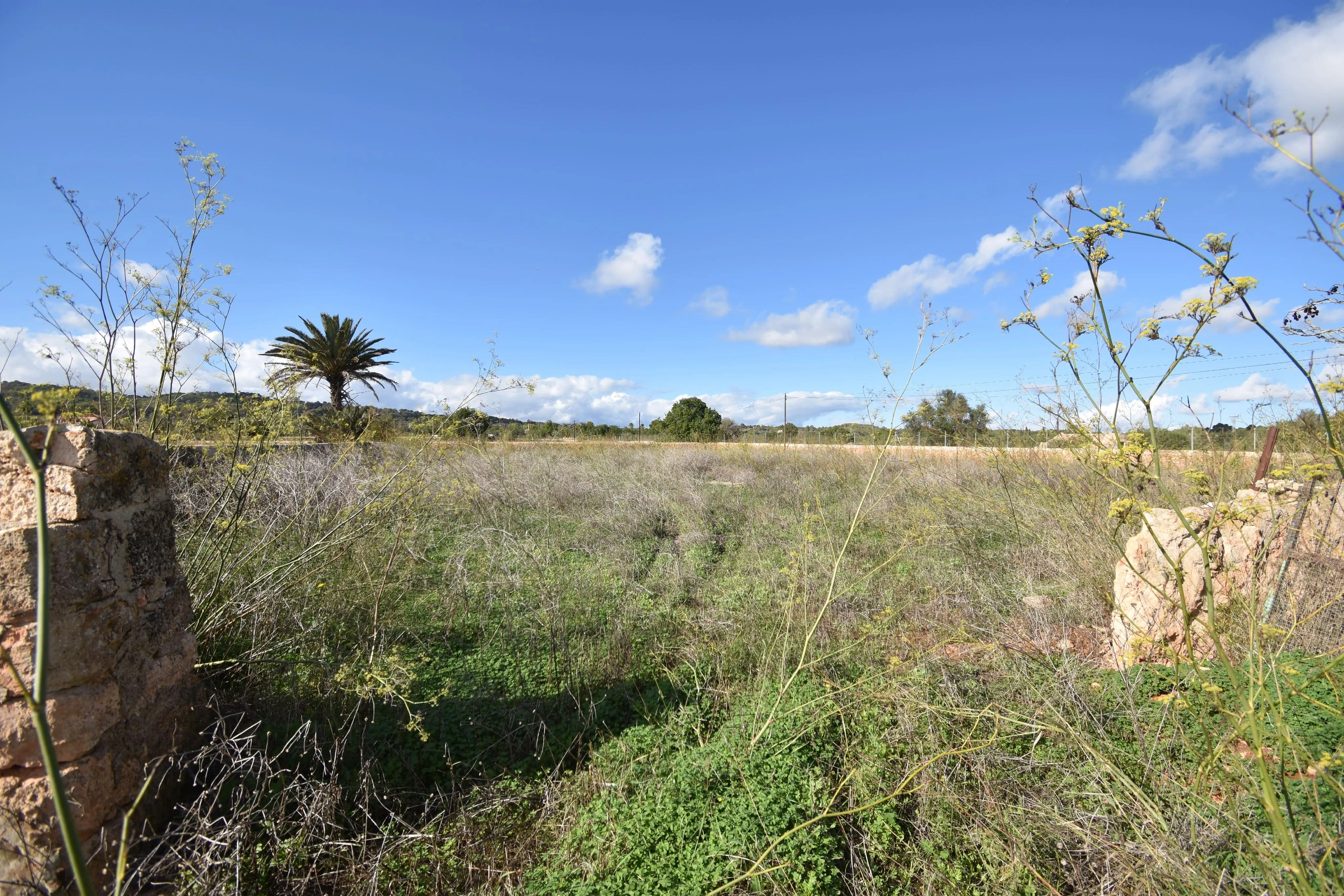 Unique rustic project in Llucmajor, located in the peaceful area of Vista Alegre-2