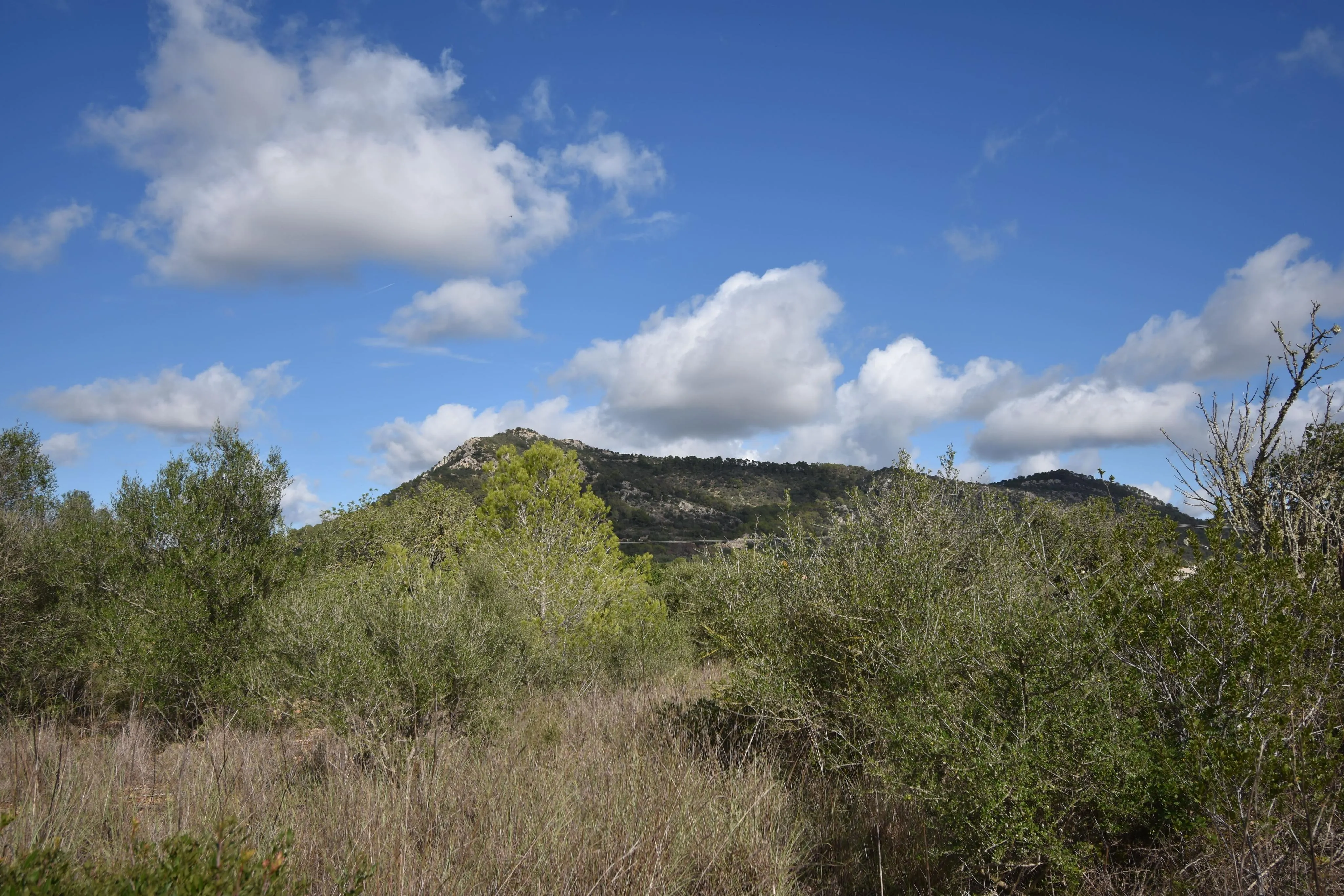 Unique rustic project in Llucmajor, located in the peaceful area of Vista Alegre-1