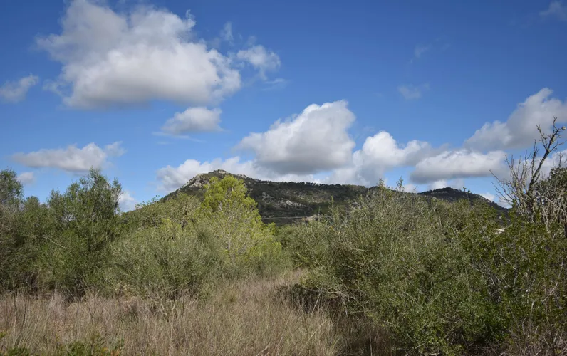 Unique rustic project in Llucmajor, located in the peaceful area of Vista Alegre