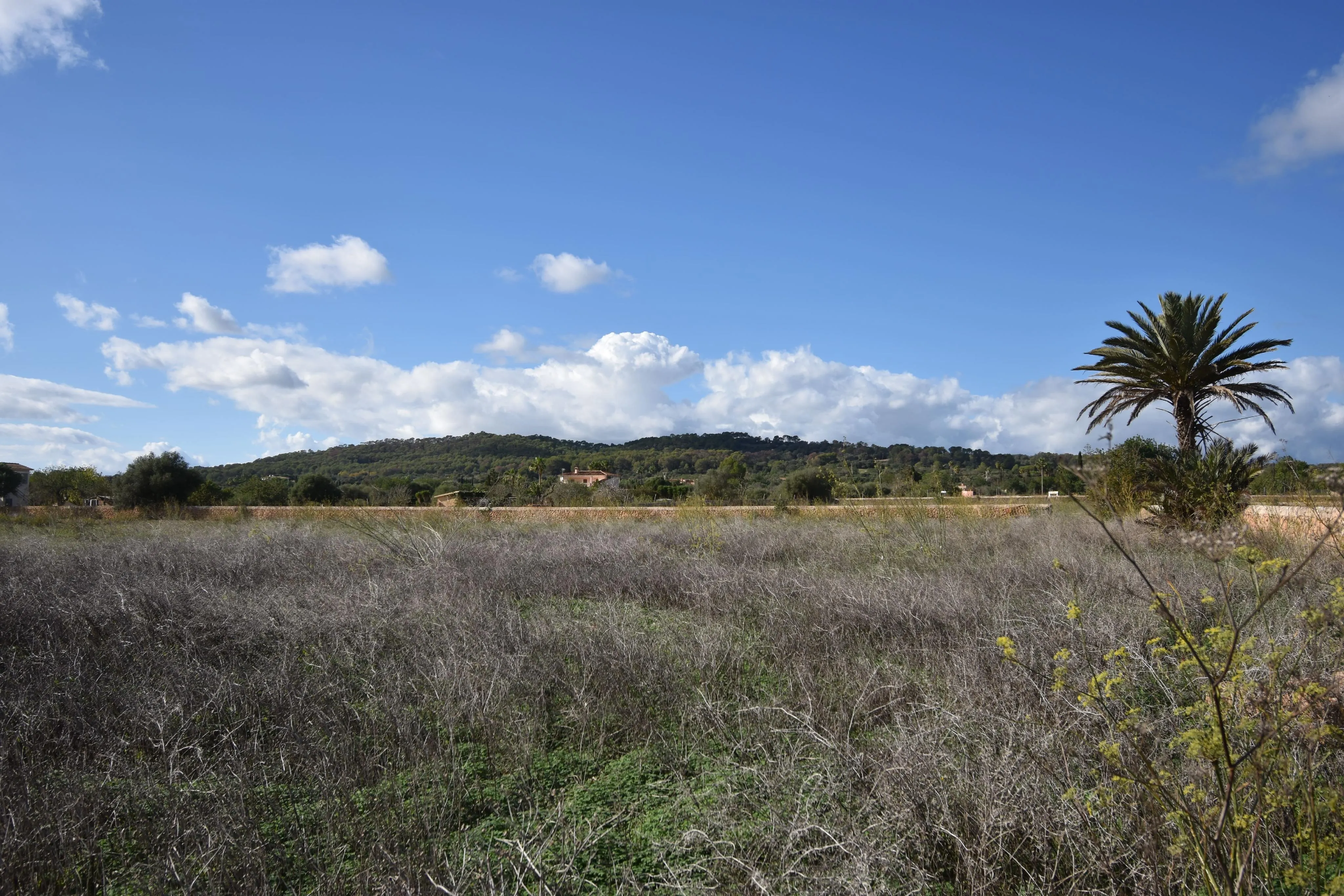 Unique rustic project in Llucmajor, located in the peaceful area of Vista Alegre-6