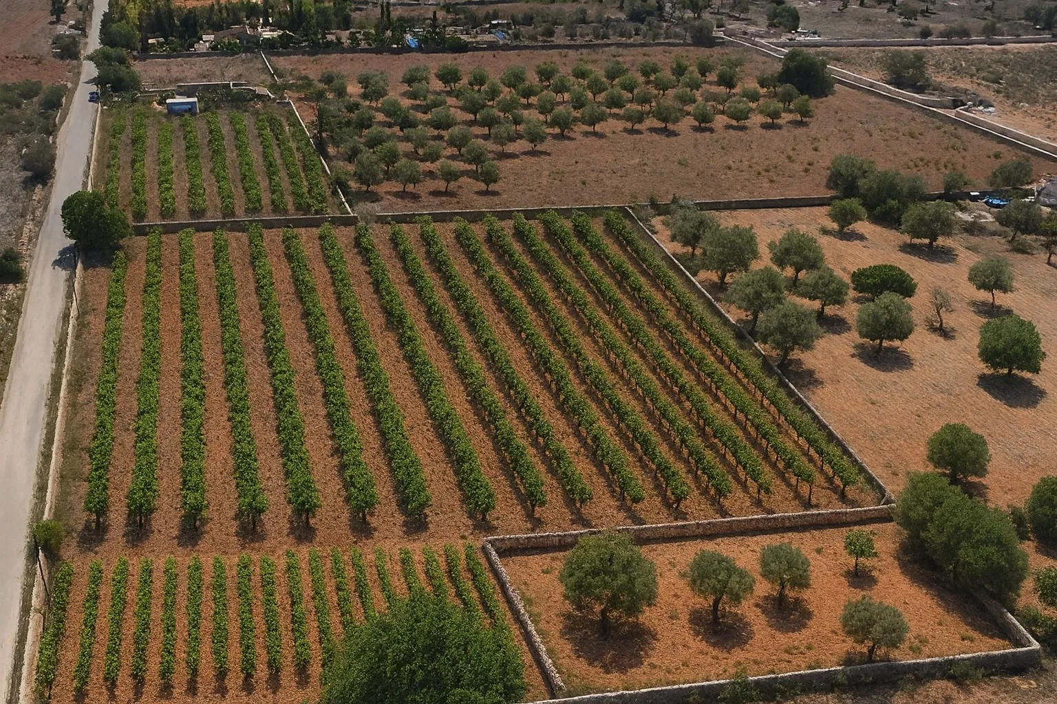 Unique rustic project in Llucmajor, located in the peaceful area of Vista Alegre-5
