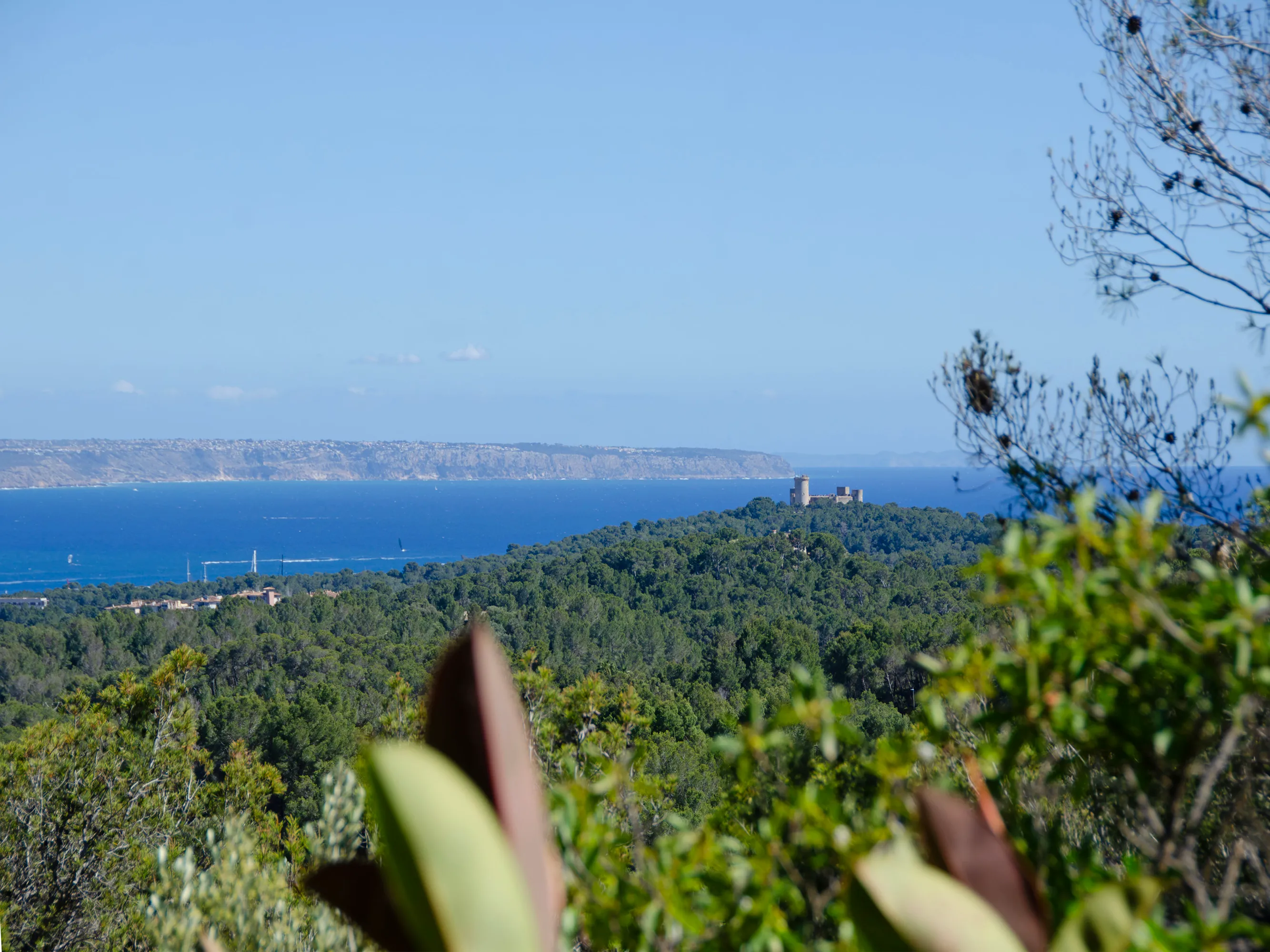 Grund med havudsigt og sydvestlig orientering i Son Vida-7