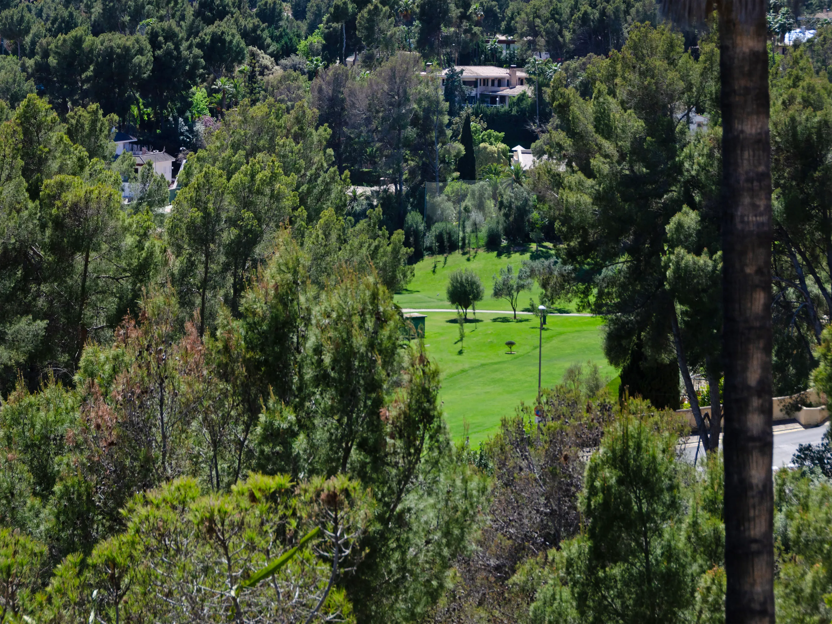 Grund med havudsigt og sydvestlig orientering i Son Vida-8