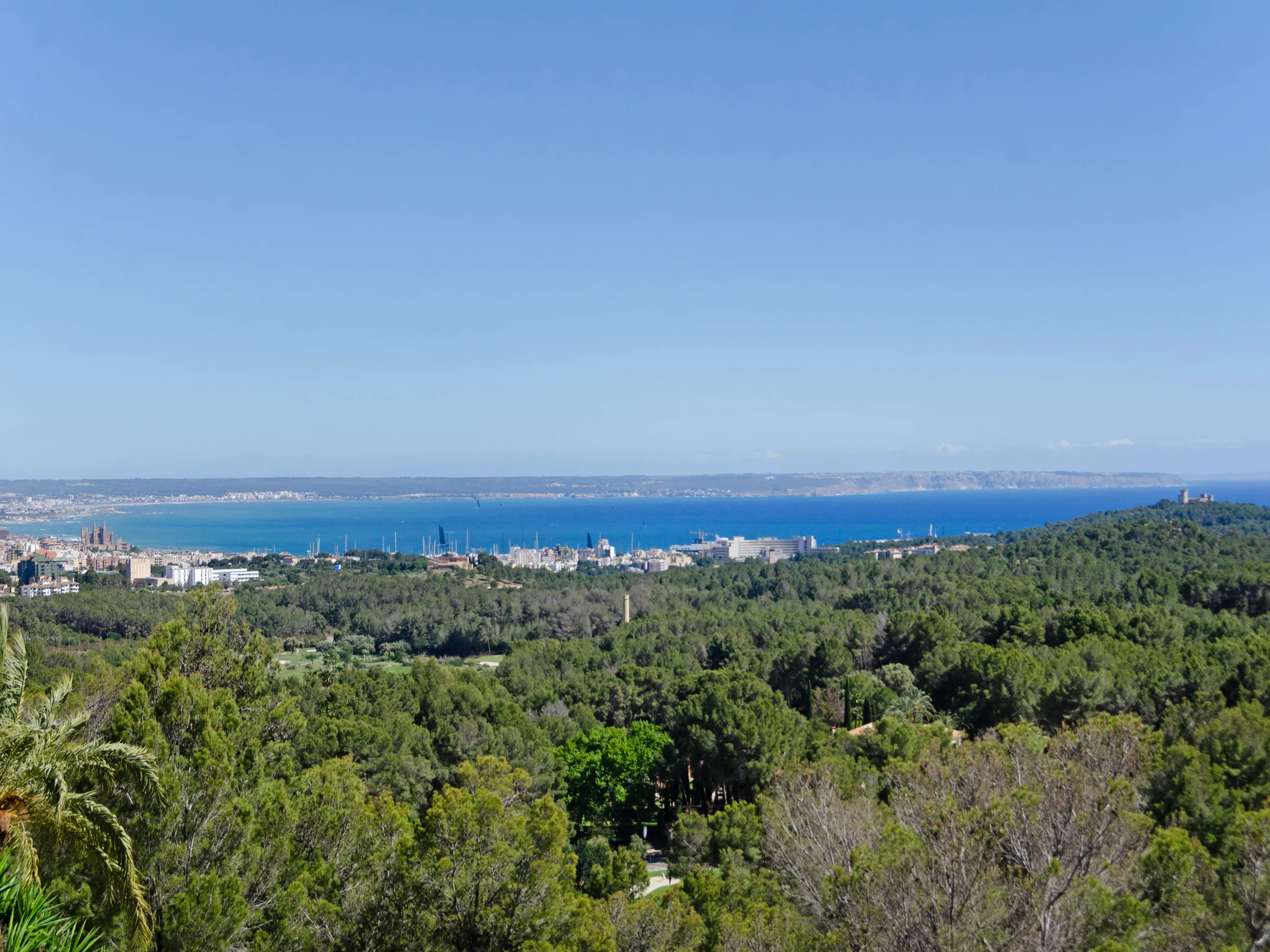 Grund med havudsigt og sydvestlig orientering i Son Vida-6